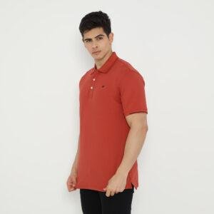 d&f Polo shirt basic - Teracota