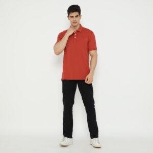 d&f Polo shirt basic - Teracota