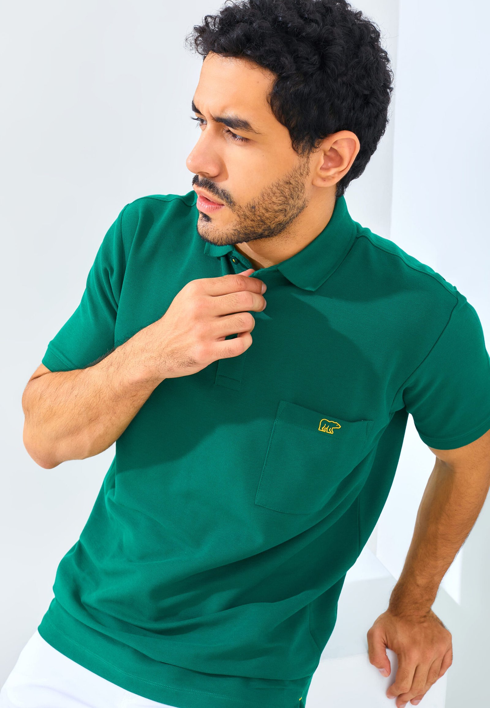 Jack Nicklaus Gallant Polo Shirt Pria Regular Fit Evergreen - Image 5
