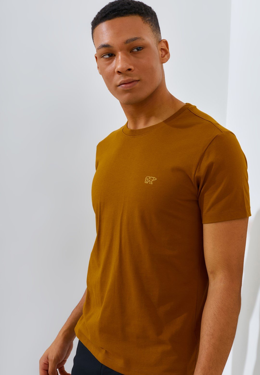 Jack Nicklaus Noah T-Shirt Slim Fit Tapenade Brown - Image 2