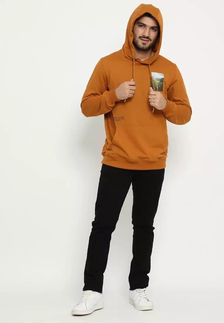 d&f sweatshirt hoodie L/S pria "MOUNTAIN" PHOTOPRINT - Mocca - Image 4